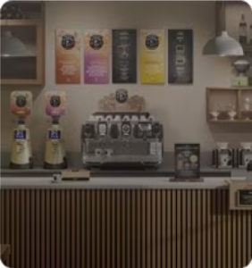 servicio profesional lavazza