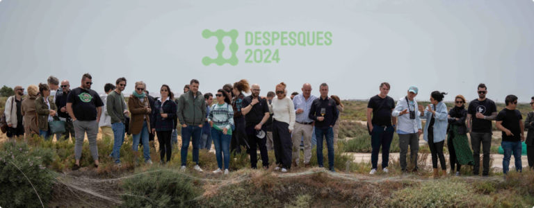 despesques en cadiz