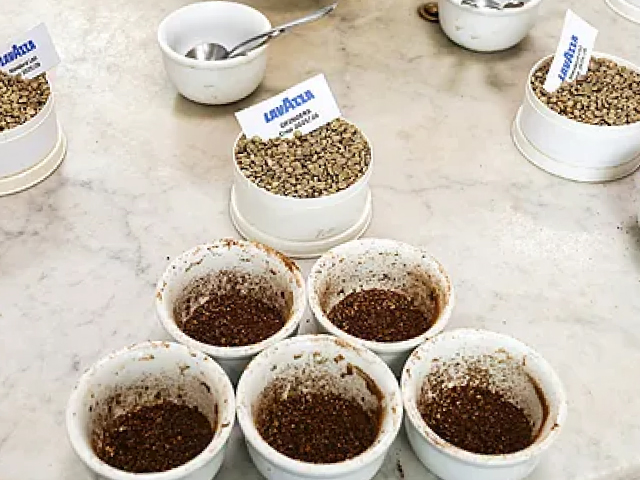 control de calidad del café lavazza