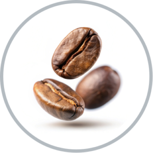 cafe en grano profesional lavazza