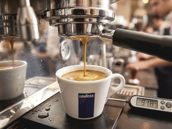 extracción espresso temperatura correcta grupo portafiltro máquina profesional