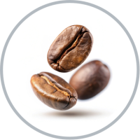 cafe en grano profesional lavazza